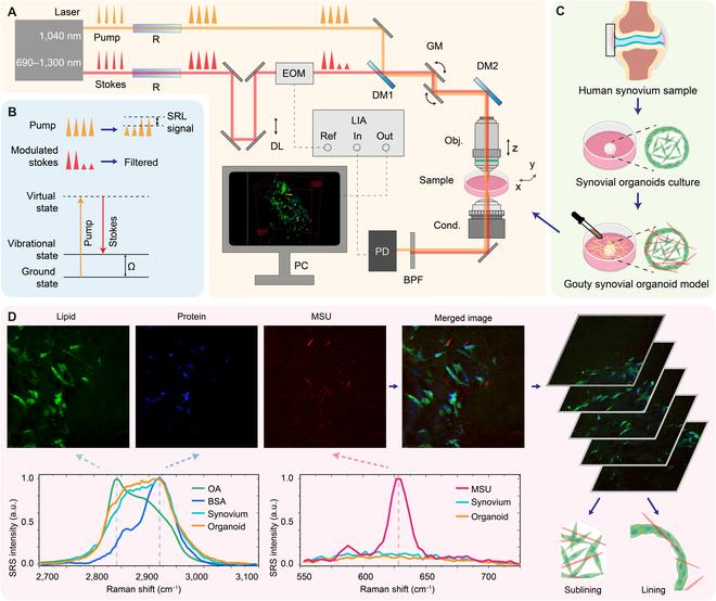 https://cdn.ncbi.nlm.nih.gov/pmc/blobs/5c30/11128648/66149be13ee6/research.0373.fig.001.jpg