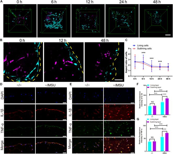 https://cdn.ncbi.nlm.nih.gov/pmc/blobs/5c30/11128648/b6527da6f7df/research.0373.fig.007.jpg