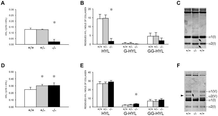 https://cdn.ncbi.nlm.nih.gov/pmc/blobs/5c35/4072593/f465d75403fc/pgen.1004465.g006.jpg