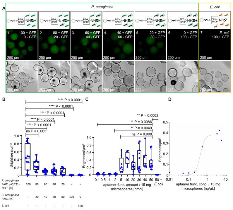 https://cdn.ncbi.nlm.nih.gov/pmc/blobs/5c35/8537436/0a845159a9d7/ijms-22-11118-g004.jpg
