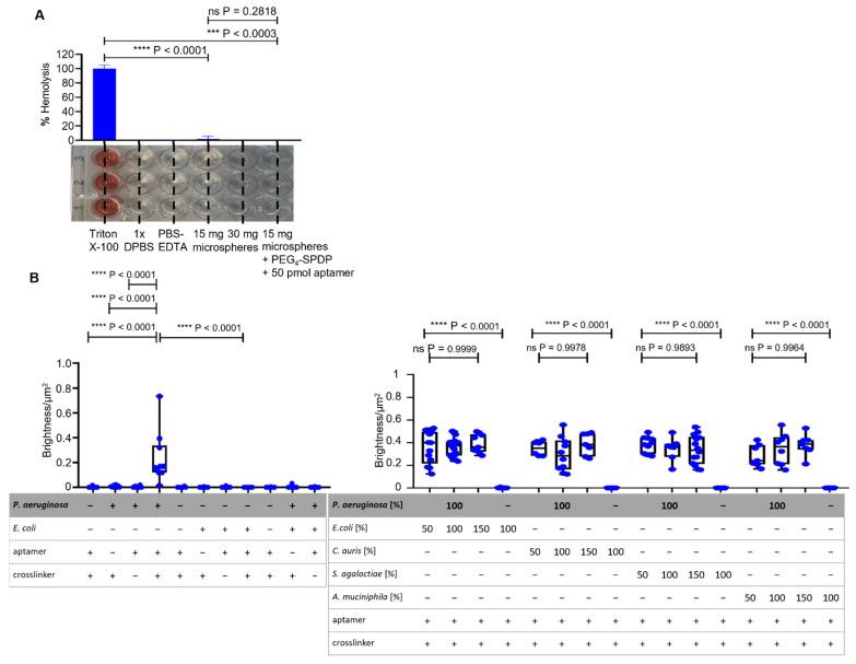 https://cdn.ncbi.nlm.nih.gov/pmc/blobs/5c35/8537436/b0ca8615f303/ijms-22-11118-g005a.jpg