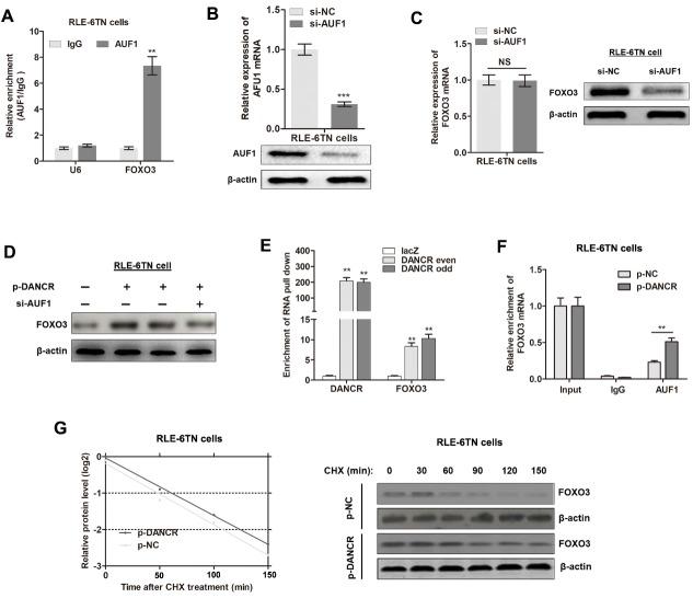 https://cdn.ncbi.nlm.nih.gov/pmc/blobs/5c38/6961774/57b00e887012/ad-11-1-17-g5.jpg