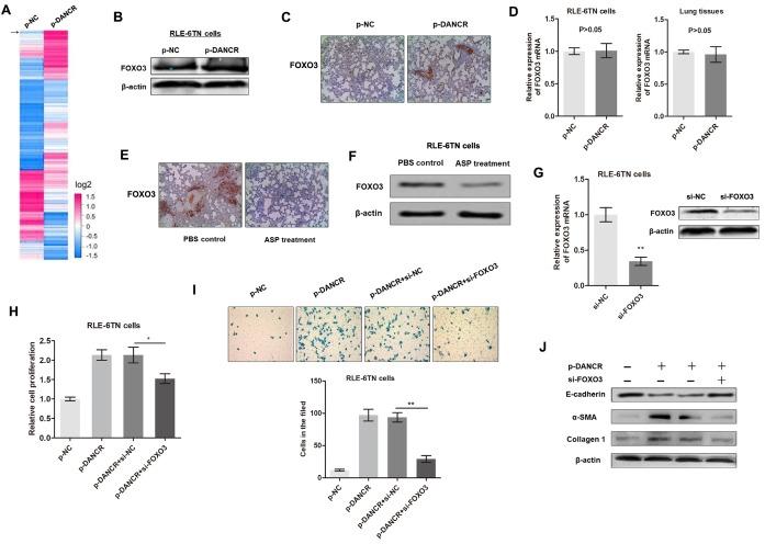 https://cdn.ncbi.nlm.nih.gov/pmc/blobs/5c38/6961774/61f9ca3d47e6/ad-11-1-17-g3.jpg