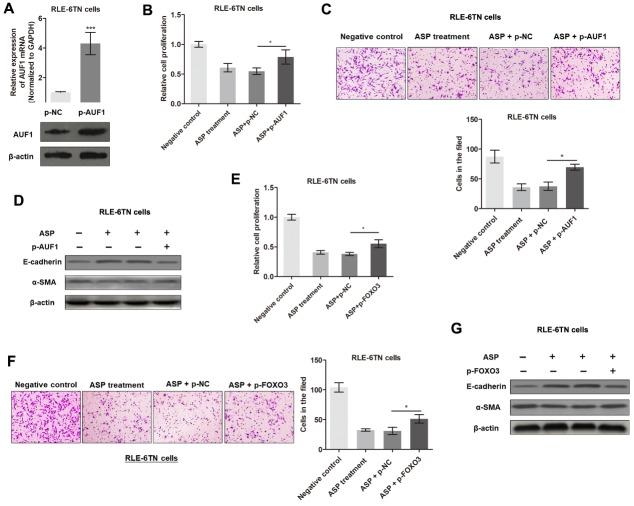 https://cdn.ncbi.nlm.nih.gov/pmc/blobs/5c38/6961774/f2c6c3b48fd4/ad-11-1-17-g6.jpg