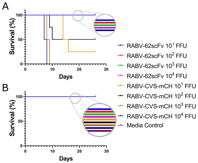 https://cdn.ncbi.nlm.nih.gov/pmc/blobs/5c39/10458464/93d0a35e3471/viruses-15-01674-g007.jpg