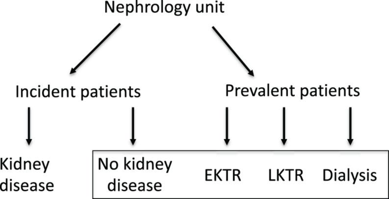 https://cdn.ncbi.nlm.nih.gov/pmc/blobs/5c39/7793922/0482004de8c7/fcell-08-586831-g001.jpg