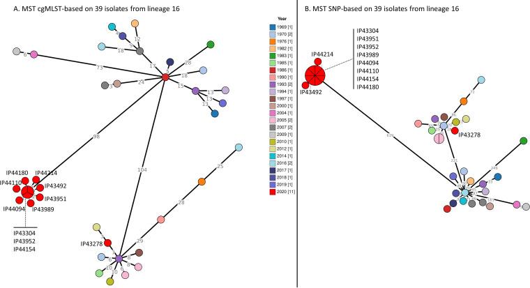 https://cdn.ncbi.nlm.nih.gov/pmc/blobs/5c39/9431522/d1f538fec38c/spectrum.01145-22-f003.jpg