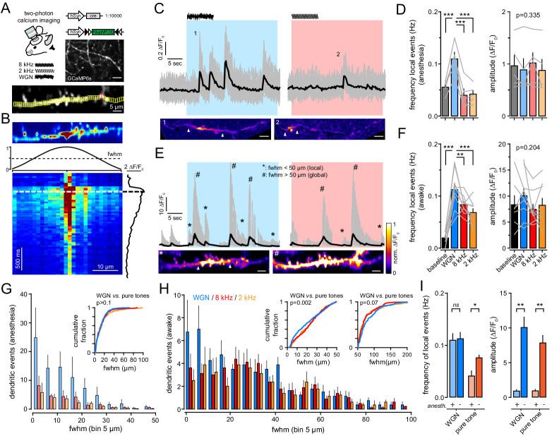https://cdn.ncbi.nlm.nih.gov/pmc/blobs/5c3d/7704104/0176803a2502/elife-62594-fig2.jpg