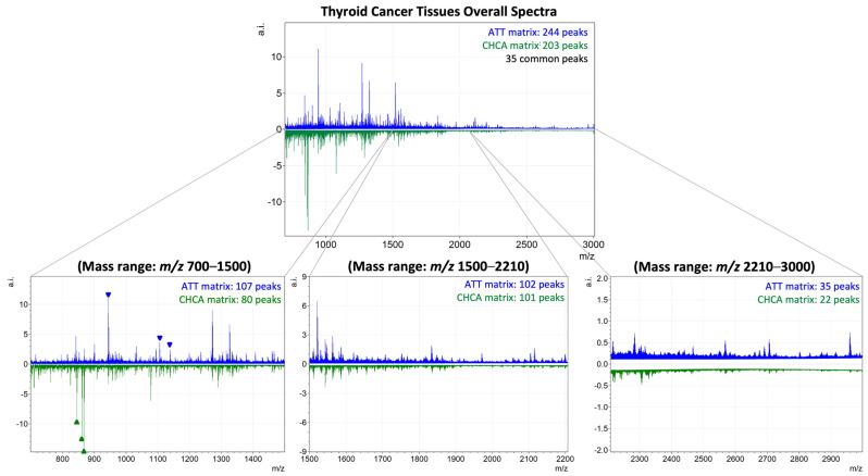 https://cdn.ncbi.nlm.nih.gov/pmc/blobs/5c3f/11678892/44027c9c9b24/ijms-25-13678-g002.jpg