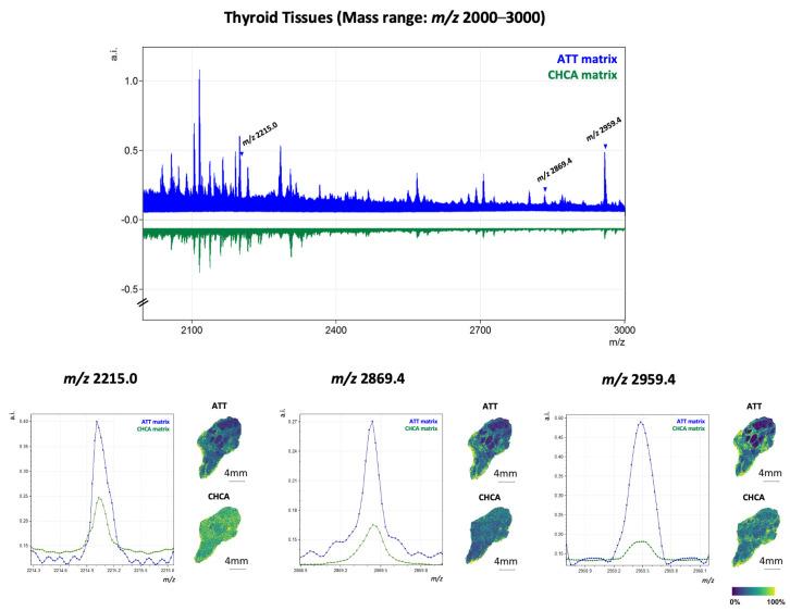 https://cdn.ncbi.nlm.nih.gov/pmc/blobs/5c3f/11678892/92121ee6f96b/ijms-25-13678-g003.jpg