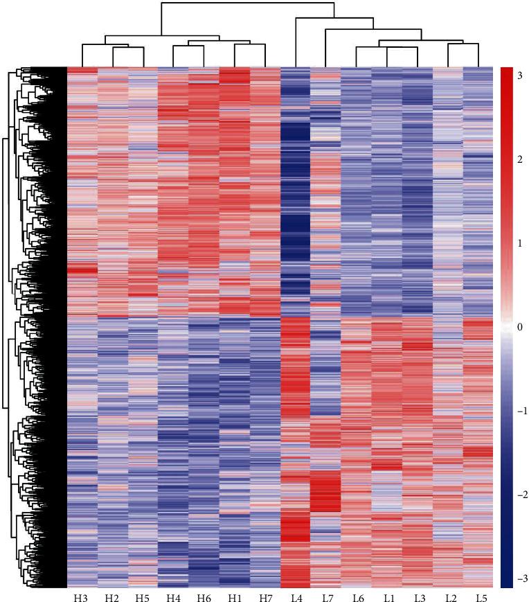 https://cdn.ncbi.nlm.nih.gov/pmc/blobs/5c41/8817107/36272557d13f/OMCL2022-2315575.005.jpg