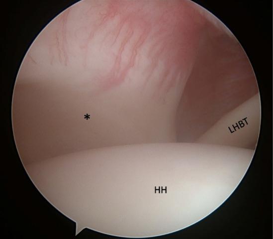 https://cdn.ncbi.nlm.nih.gov/pmc/blobs/5c42/11181063/a5ebdf94596c/cise-2024-00066f2.jpg