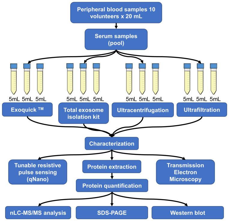 https://cdn.ncbi.nlm.nih.gov/pmc/blobs/5c43/10443378/f0912e453f89/proteomes-11-00023-g001.jpg