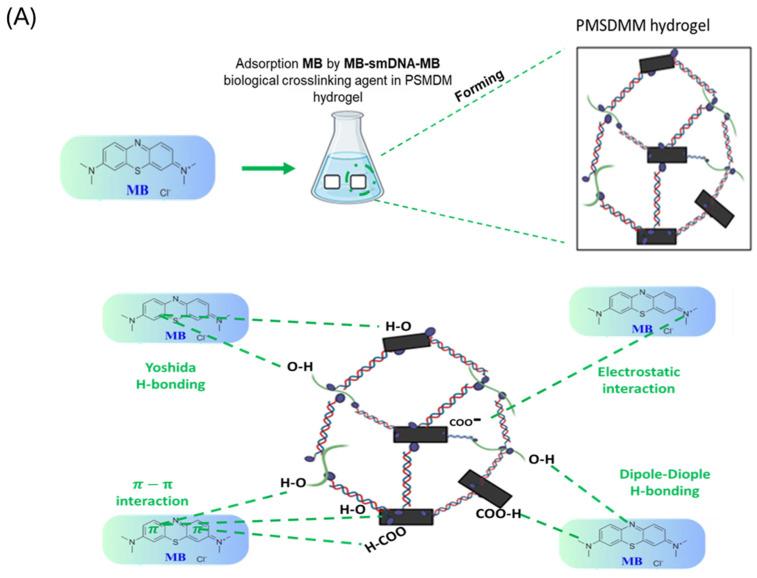 https://cdn.ncbi.nlm.nih.gov/pmc/blobs/5c45/12300088/70676440c5d4/pharmaceutics-17-00823-g006a.jpg