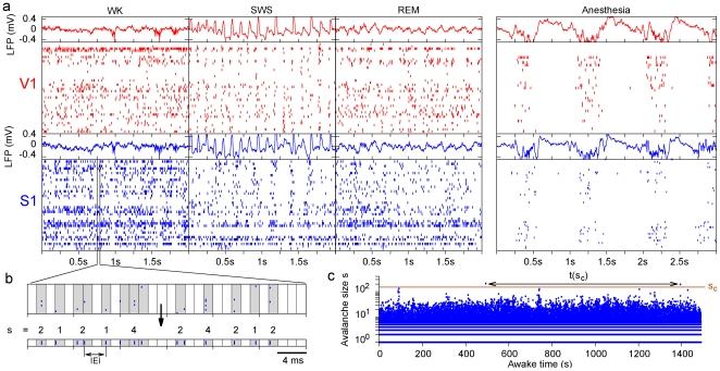 https://cdn.ncbi.nlm.nih.gov/pmc/blobs/5c45/2994706/a582a3d3a726/pone.0014129.g001.jpg