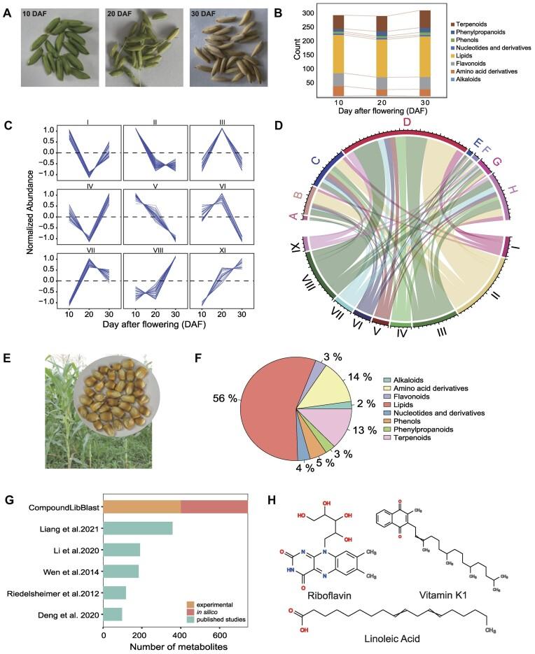 https://cdn.ncbi.nlm.nih.gov/pmc/blobs/5c46/10767953/42a036062944/gkad980fig4.jpg