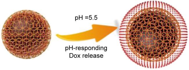 https://cdn.ncbi.nlm.nih.gov/pmc/blobs/5c46/5348077/03bf94dd22b2/ijn-12-1827Fig8.jpg