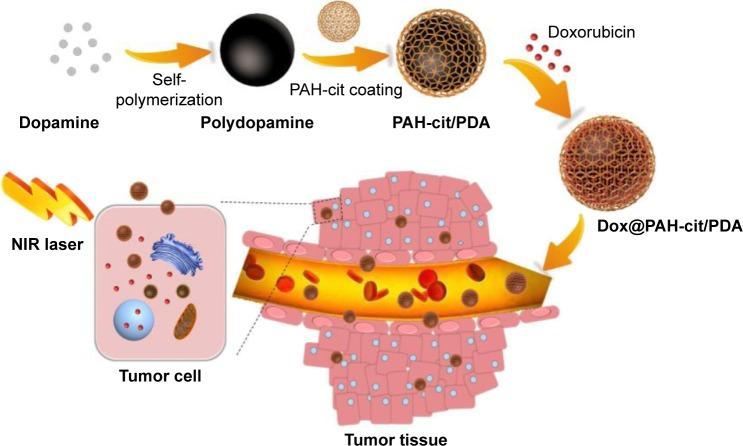 https://cdn.ncbi.nlm.nih.gov/pmc/blobs/5c46/5348077/51499b986cb7/ijn-12-1827Fig9.jpg