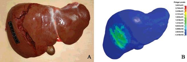 https://cdn.ncbi.nlm.nih.gov/pmc/blobs/5c47/6197115/238c8cd62dac/TFSR_A_1337501_F0005_OC.jpg