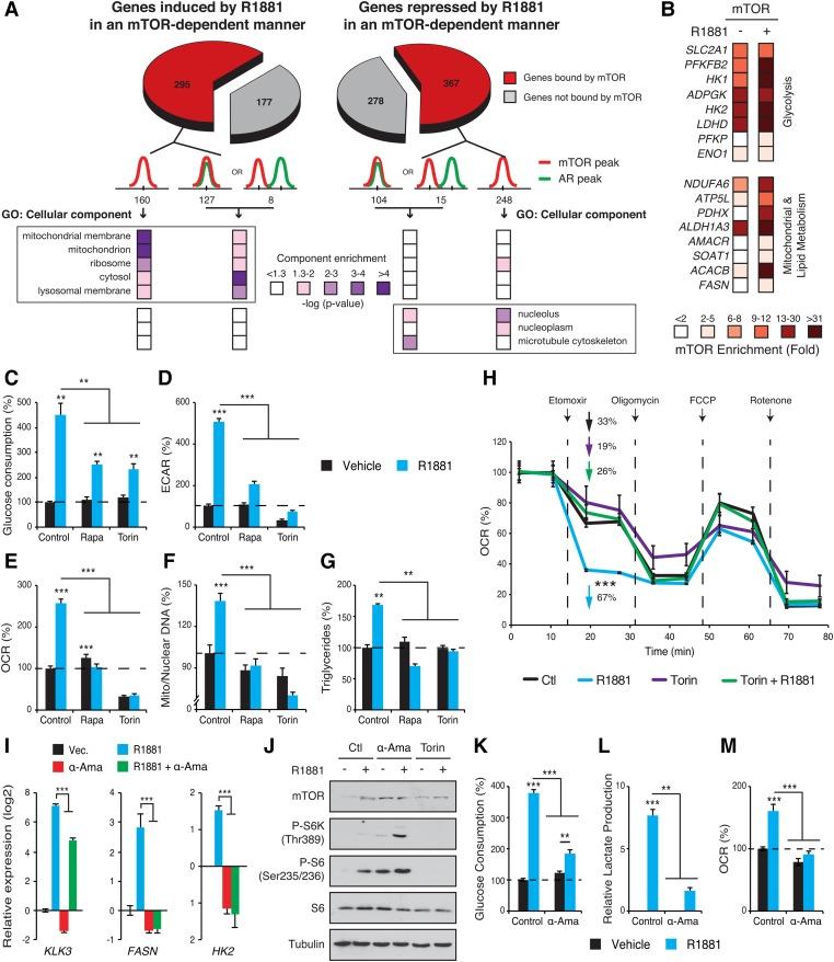 https://cdn.ncbi.nlm.nih.gov/pmc/blobs/5c48/5558925/5b95f3bfc163/1228f04.jpg