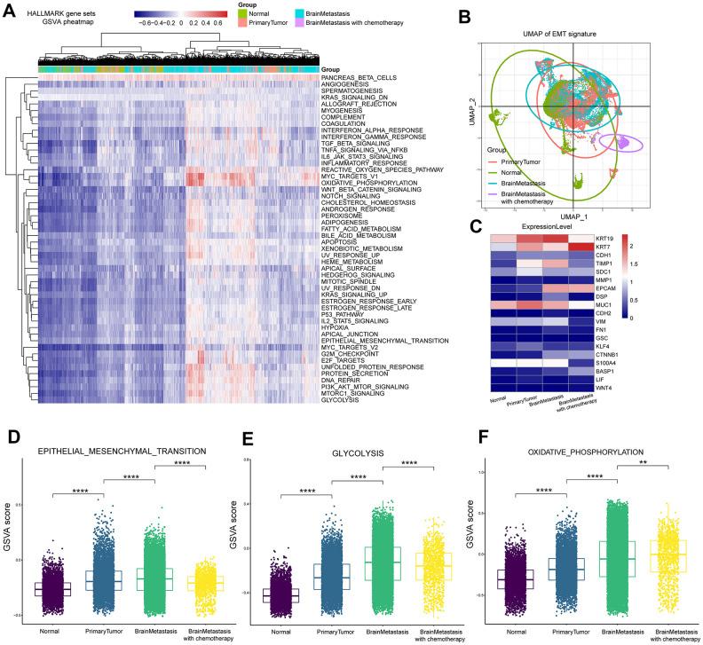 https://cdn.ncbi.nlm.nih.gov/pmc/blobs/5c49/7695431/c0e8d2f9b0a4/aging-12-103945-g004.jpg