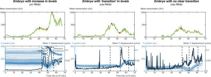 https://cdn.ncbi.nlm.nih.gov/pmc/blobs/5c49/9183233/3de8835e2785/elife-73656-fig1-figsupp2.jpg