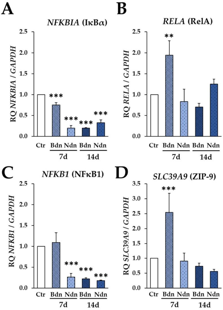 https://cdn.ncbi.nlm.nih.gov/pmc/blobs/5c4a/10932267/6043aefa32b0/ijms-25-02833-g005.jpg