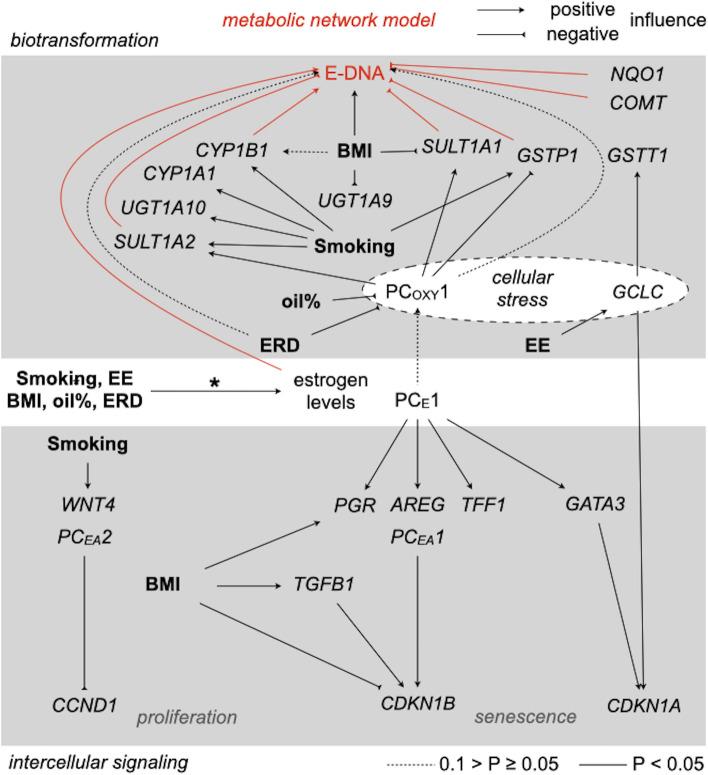 https://cdn.ncbi.nlm.nih.gov/pmc/blobs/5c4a/8837527/1eb288541009/204_2021_3198_Fig7_HTML.jpg