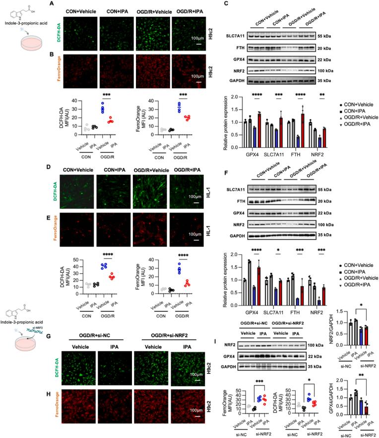 https://cdn.ncbi.nlm.nih.gov/pmc/blobs/5c4e/11930714/100971a2e1c8/gr8.jpg