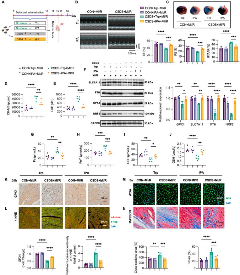 https://cdn.ncbi.nlm.nih.gov/pmc/blobs/5c4e/11930714/212d81295831/gr6.jpg