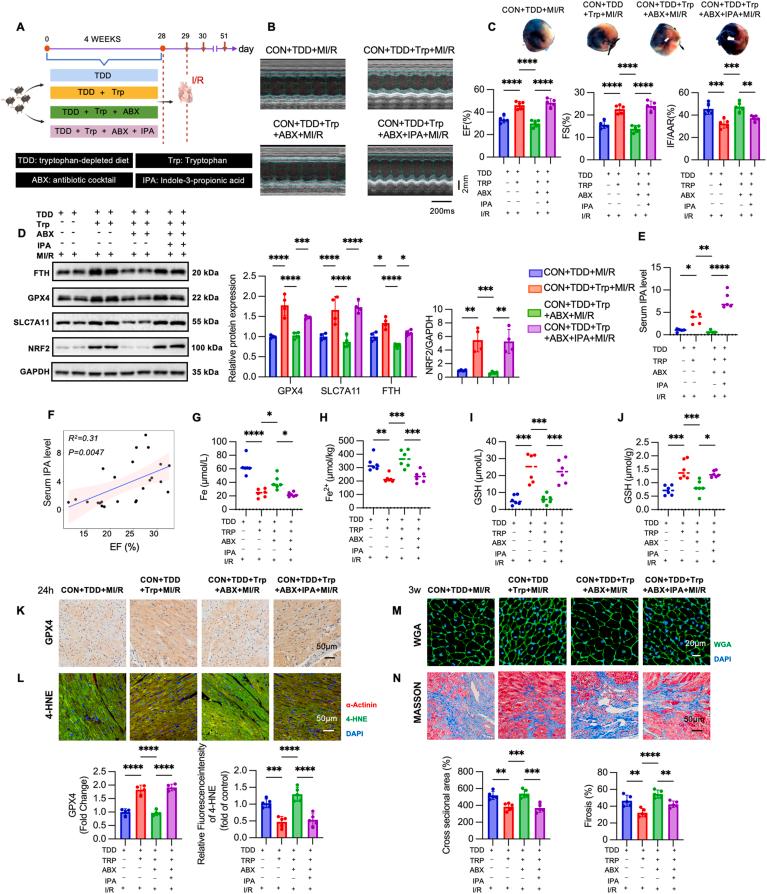 https://cdn.ncbi.nlm.nih.gov/pmc/blobs/5c4e/11930714/e42efc4102f8/gr7.jpg