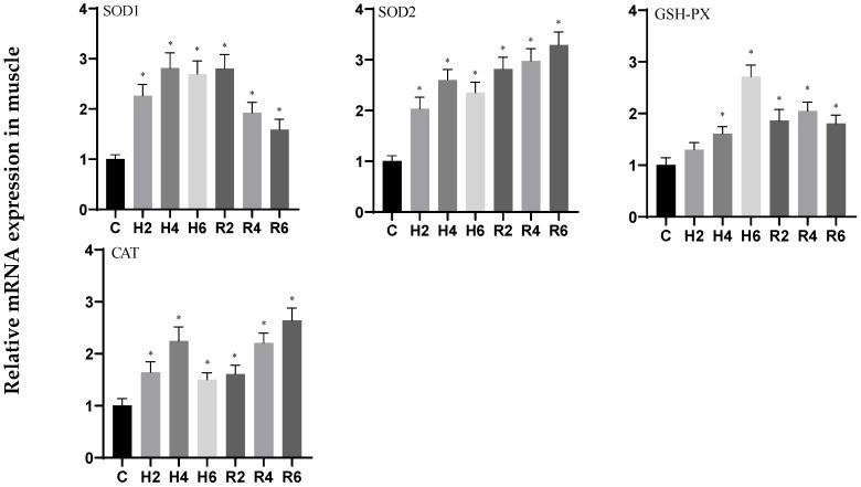 https://cdn.ncbi.nlm.nih.gov/pmc/blobs/5c50/12383296/78c0b9bac974/biology-14-00915-g009.jpg