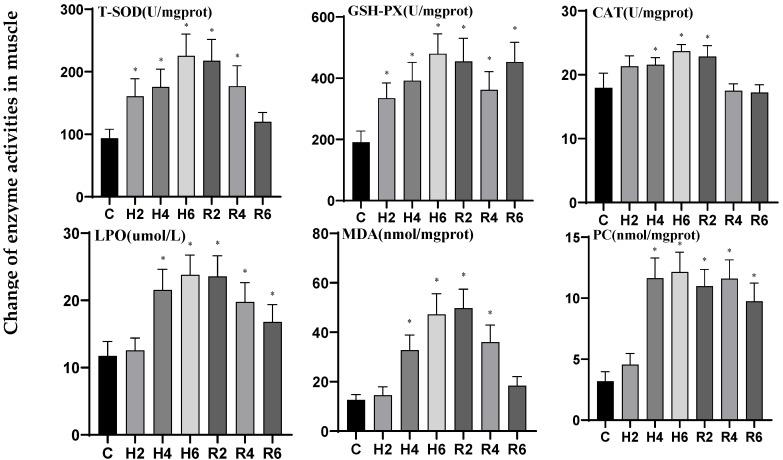 https://cdn.ncbi.nlm.nih.gov/pmc/blobs/5c50/12383296/7bf44674f676/biology-14-00915-g012.jpg