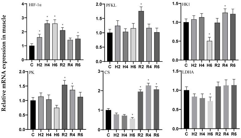https://cdn.ncbi.nlm.nih.gov/pmc/blobs/5c50/12383296/851e582d1870/biology-14-00915-g003.jpg
