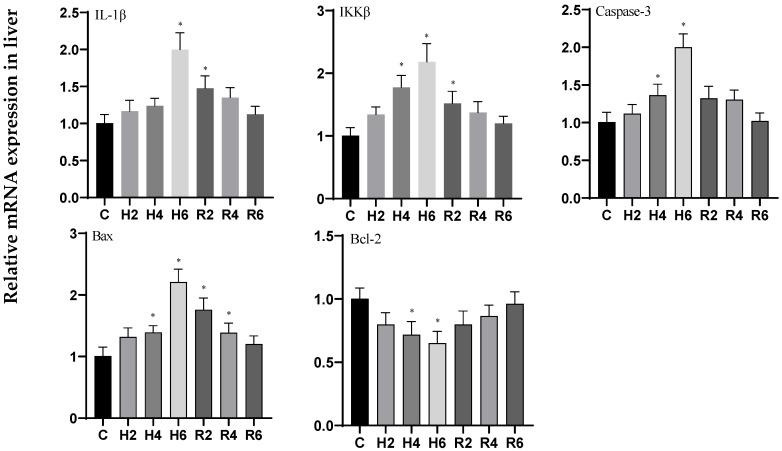 https://cdn.ncbi.nlm.nih.gov/pmc/blobs/5c50/12383296/86729bf4c192/biology-14-00915-g017.jpg