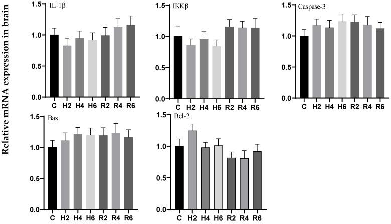 https://cdn.ncbi.nlm.nih.gov/pmc/blobs/5c50/12383296/d602330cc203/biology-14-00915-g016.jpg