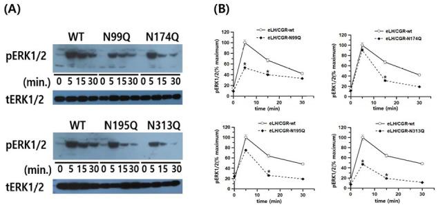 https://cdn.ncbi.nlm.nih.gov/pmc/blobs/5c50/12384393/4fd569c09800/cimb-47-00590-g008.jpg