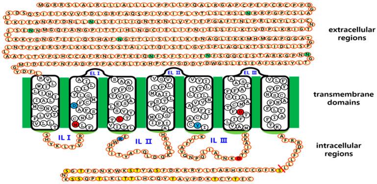 https://cdn.ncbi.nlm.nih.gov/pmc/blobs/5c50/12384393/5e1f4275085d/cimb-47-00590-g001.jpg