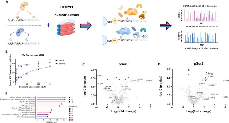 https://cdn.ncbi.nlm.nih.gov/pmc/blobs/5c55/10470302/231f8209b6f9/gr3.jpg