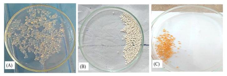 https://cdn.ncbi.nlm.nih.gov/pmc/blobs/5c55/9315928/aa5aef806b6f/pharmaceutics-14-01366-g003.jpg