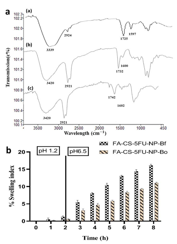 https://cdn.ncbi.nlm.nih.gov/pmc/blobs/5c55/9315928/e236038c3389/pharmaceutics-14-01366-g006.jpg