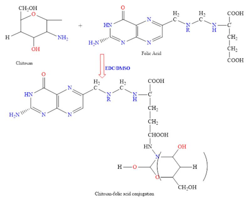 https://cdn.ncbi.nlm.nih.gov/pmc/blobs/5c55/9315928/e617e9693b28/pharmaceutics-14-01366-g001.jpg