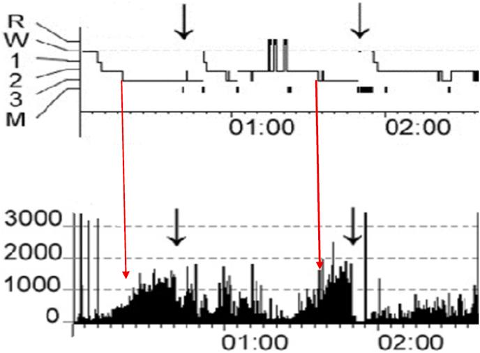https://cdn.ncbi.nlm.nih.gov/pmc/blobs/5c55/9520070/ca1f1f39f010/gr2.jpg
