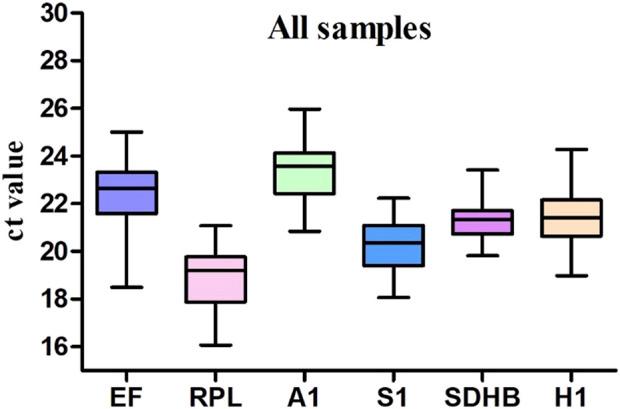 https://cdn.ncbi.nlm.nih.gov/pmc/blobs/5c56/10151585/4ce87fc8d67d/fphys-14-1161680-g001.jpg