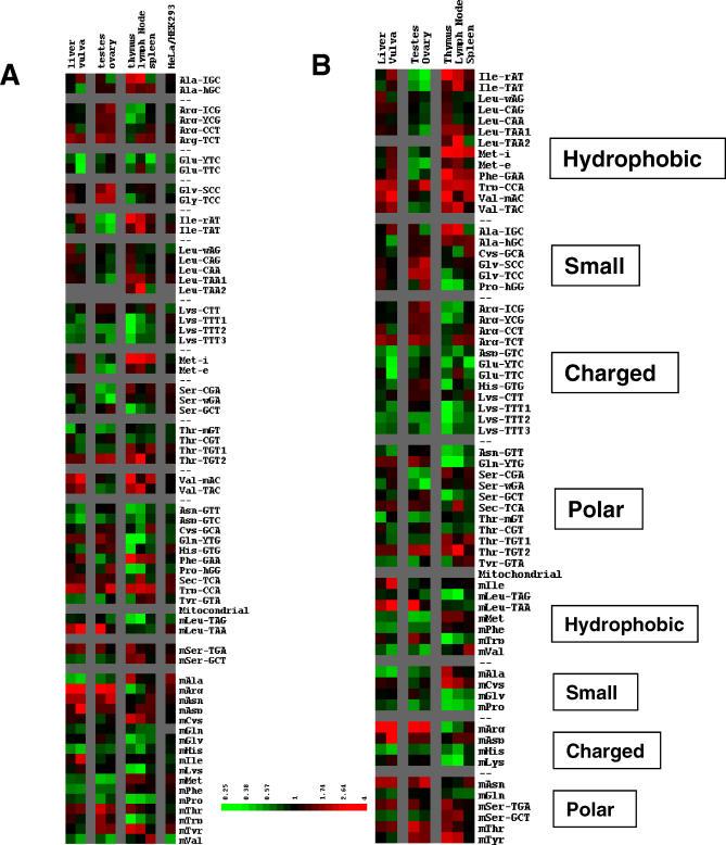 https://cdn.ncbi.nlm.nih.gov/pmc/blobs/5c57/1756912/aeac336a361e/pgen.0020221.g003.jpg