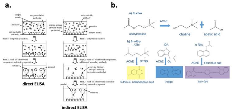 https://cdn.ncbi.nlm.nih.gov/pmc/blobs/5c58/7824741/eefc9a881fc2/foods-10-00088-g003.jpg