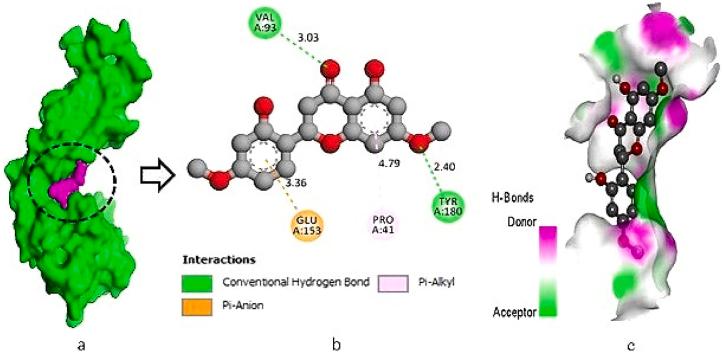https://cdn.ncbi.nlm.nih.gov/pmc/blobs/5c5a/11652921/5d4d8203dcad/gr2.jpg