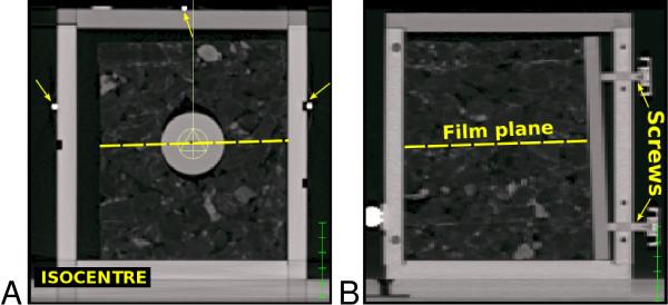 https://cdn.ncbi.nlm.nih.gov/pmc/blobs/5c5b/2801495/3ada4b0f1976/1748-717X-4-64-1.jpg