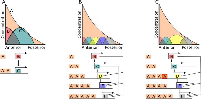 https://cdn.ncbi.nlm.nih.gov/pmc/blobs/5c5c/7939363/ee30aa9658b0/pcbi.1008570.g011.jpg