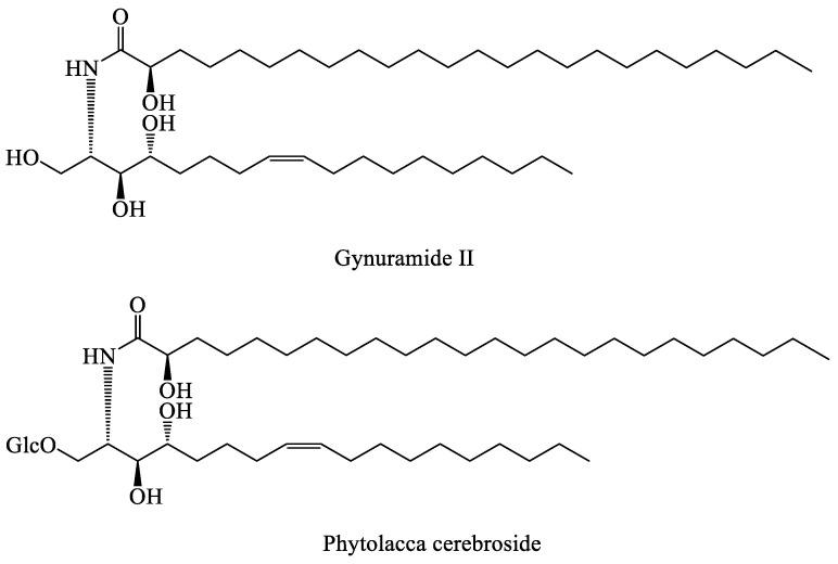 https://cdn.ncbi.nlm.nih.gov/pmc/blobs/5c5d/10343869/05f0a4dcc3a3/molecules-28-05022-g005.jpg